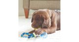 JW Puppy Connects – 3 Toys in 1
