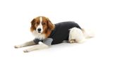 Buster Body Suit Easy go for Dog 75 cm XXXL
