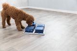 Trixie Dog Activity Poker Box 1, 31 x 31 cm