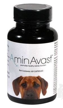 AminAvast® 1000 mg 60 cps. hund