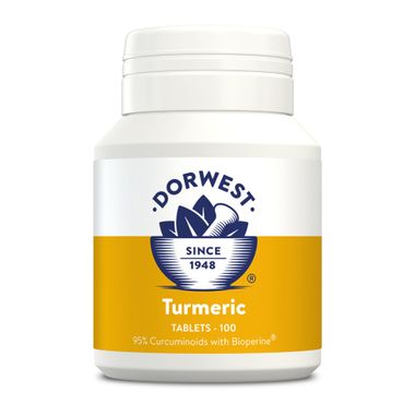 Dorwest Turmeric 100 Tabletten