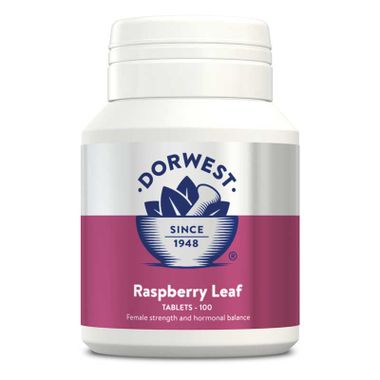 Dorwest Raspberry Leaf 100 Tabletten