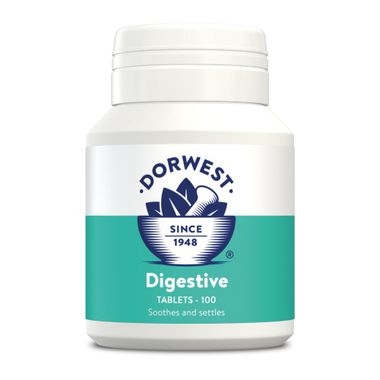 Dorwest Digestive 100 Tabletten