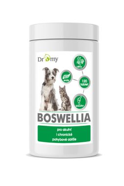 Dromy Boswellia 120 Tabletten