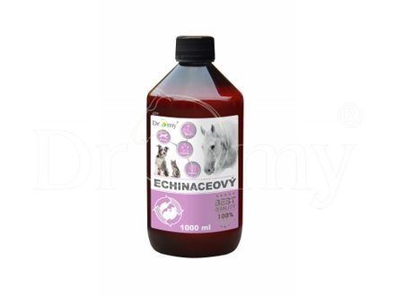 Dromy Echinacea Sirup 1000 ml