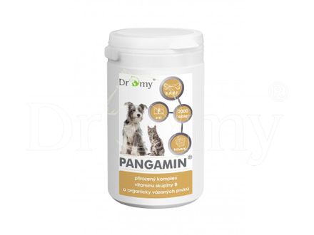Dromy Pangamin® MINI 1000 Tabletten