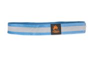 Firedog Warnhalsband reflektierend mit Klettverschluß 30 mm 35 cm hellblau