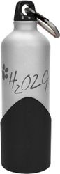 H2O2GO Wasserflasche - 750 ml - silber