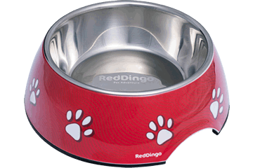 Red Dingo Dog Bowl Desert Paws Red 350 ml